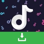 TikTok Downloader Bot bot