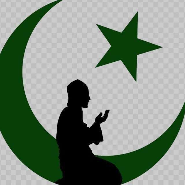 MUSLIM GOLD FOREX SIGNALS Telegram Channel