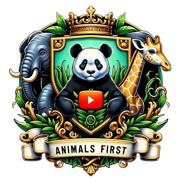 Animals First 🐒🦒🦆 Telegram Channel