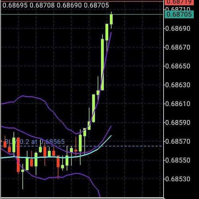 BEST  FOREX  TRADING  PLATFORM Telegram Channel