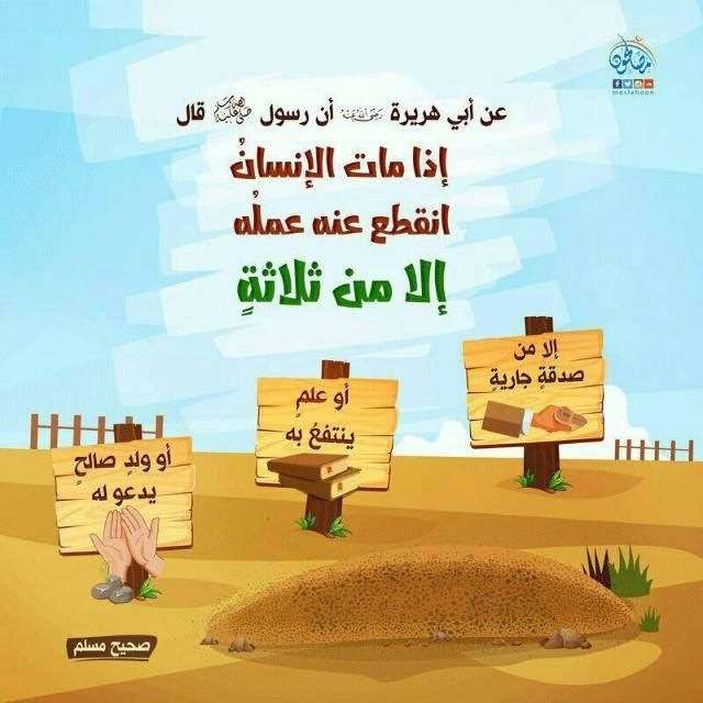 قناة تيليجرام فوائد علمية