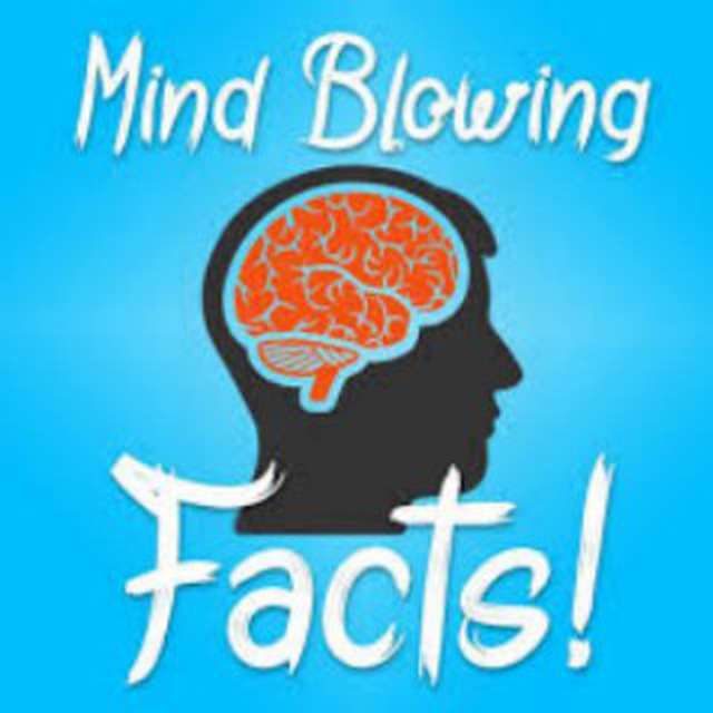 Mind Blowing Facts Telegram Channel