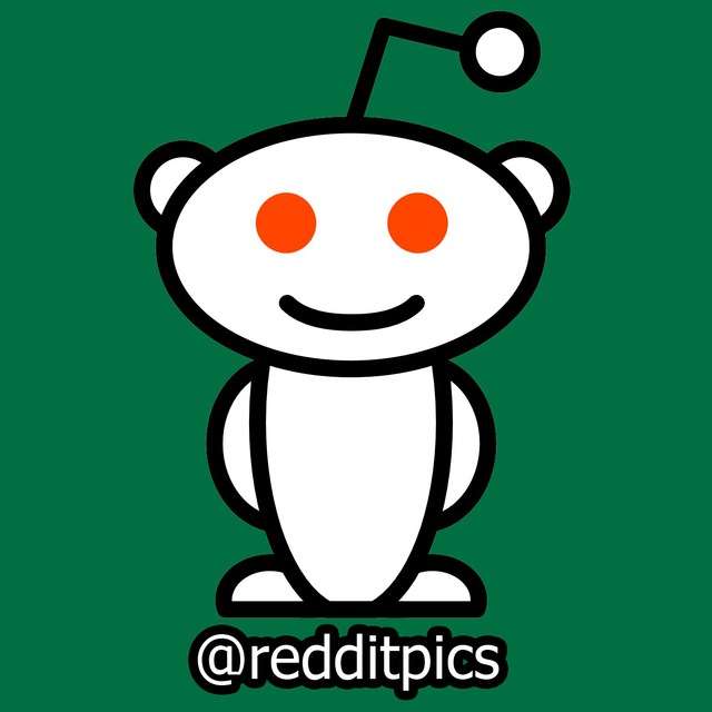 Reddit Pics Telegram Channel