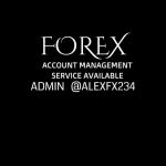 FOREX TRADING ™ channel