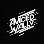 Amoled_wally group