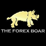 THE FOREX BOAR Channel