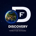 Discovery | Животные| Фильмы Channel