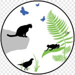 Природа | Животные | Фауна Channel