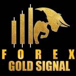 FOREX GOLD SIGNAL Channel