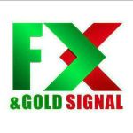 FX AND GOLD SIGNALS Channel