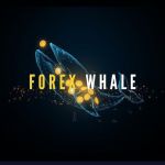 FOREX WHALE SIGNALS channel