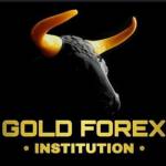 GOLD FOREX TRADING Channel