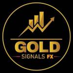 Gold daily free signal channel