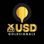 ️GOLD FOREX SIGNALS ️ channel