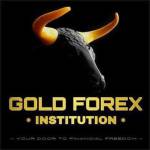 GOLD FOREX SIGNALS 🥇 Channel
