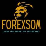 DELIGHT FOREX channel