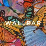 Обои | WALLPAR Channel