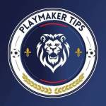 PLAYMAKER TIPS group