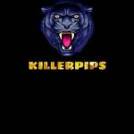 Killerpips Harvard channel
