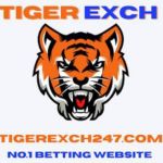 TIGER EXCHANGE24×7 channel