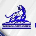 XAUUSD (GOLD) PIPS SCALPING channel