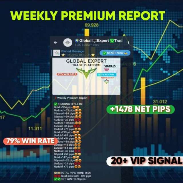 𝗚𝗹𝗼𝗯𝗮𝗹 ️𝗘𝘅𝗽𝗲𝗿𝘁 𝗧𝗿𝗮𝗱𝗲 𝗣𝗹𝗮𝘁𝗳𝗼𝗿𝗺 Telegram Channel