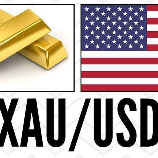 XAUUSD EURUSD GBPNZD EXPERT Telegram Channel