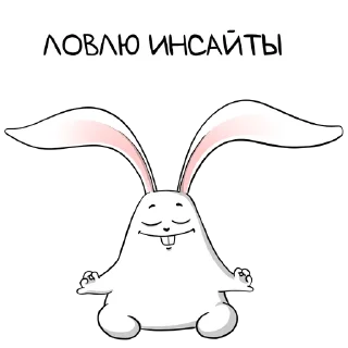 белый кролик Sticker