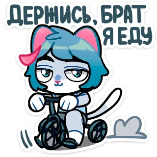 Сима catsima_vk Sticker